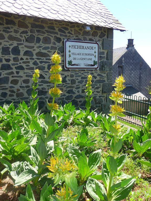 Picherande Aux Balcons Du Sancy 아파트 호텔 외부 사진
