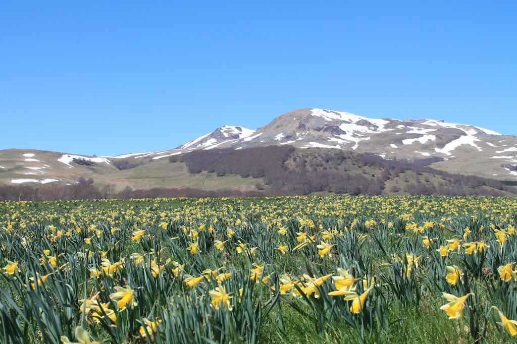 Picherande Aux Balcons Du Sancy 아파트 호텔 외부 사진